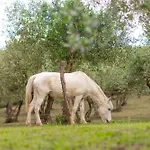Vakantieboerderij Montemagni Di Sopra *