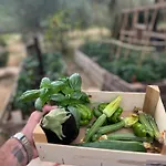 Montemagni Di Sopra Vakantieboerderij